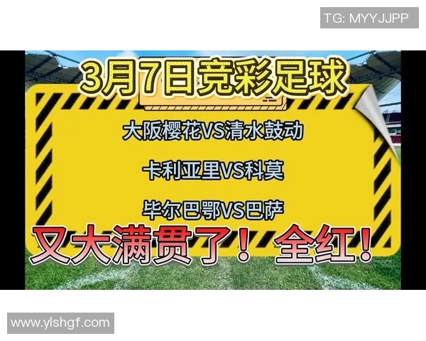 清水鼓动与大阪巴的激烈对决展现足球魅力与团队精神